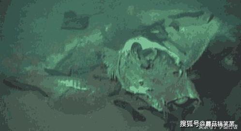 暗黑吃瓜官网入口全球,揭秘暗黑娱乐界的神秘世界